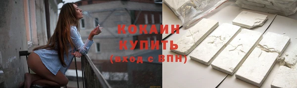 молекула духа Тайга
