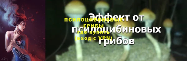 метадон Верея