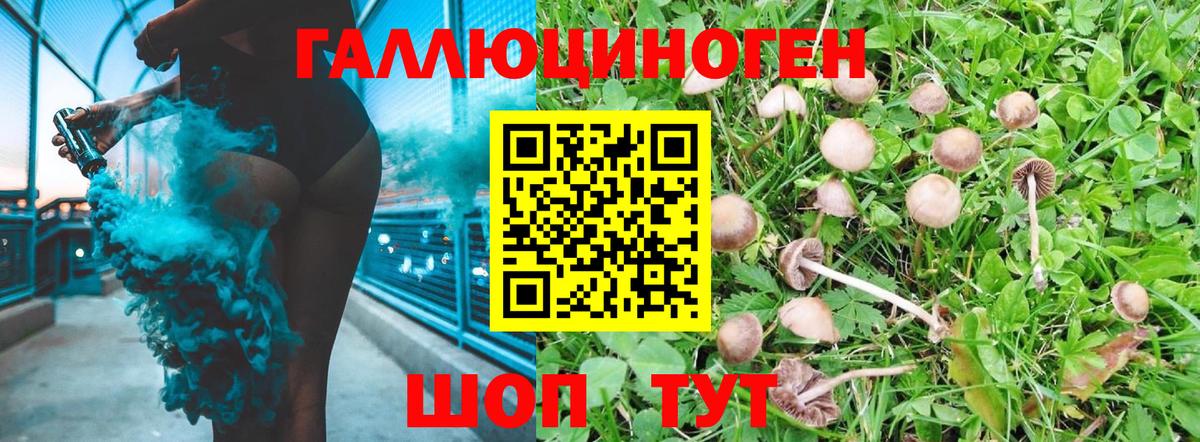 Псилоцибиновые грибы прущие грибы  Вход с VPN  Мариинск  купить наркотик  Галлюциногенные грибы Magic Shrooms 
