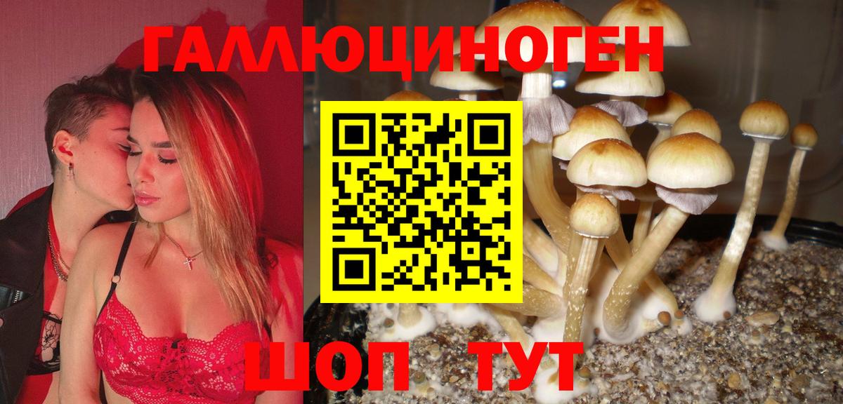Галлюциногенные грибы прущие грибы Мариинск